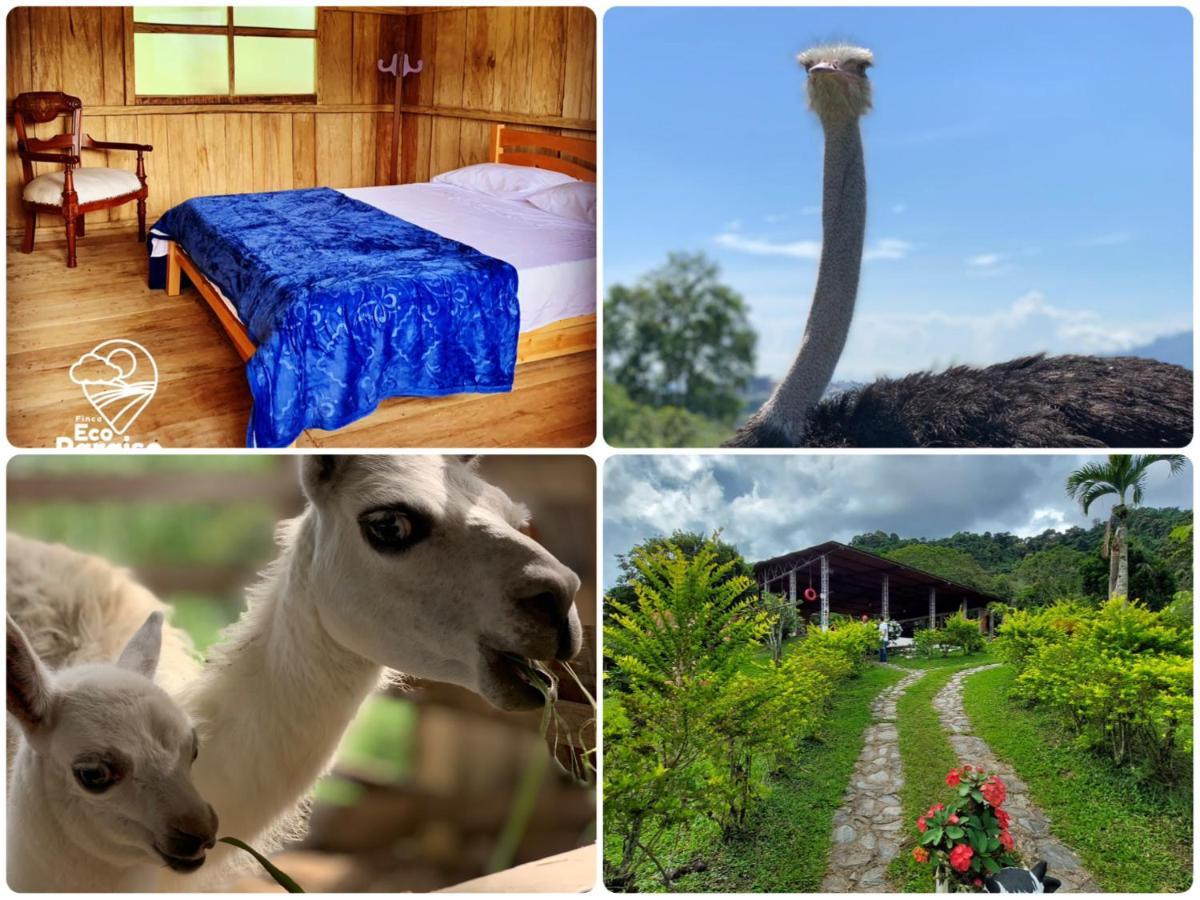 Finca Ecoparaiso Ibagué Екстериор снимка