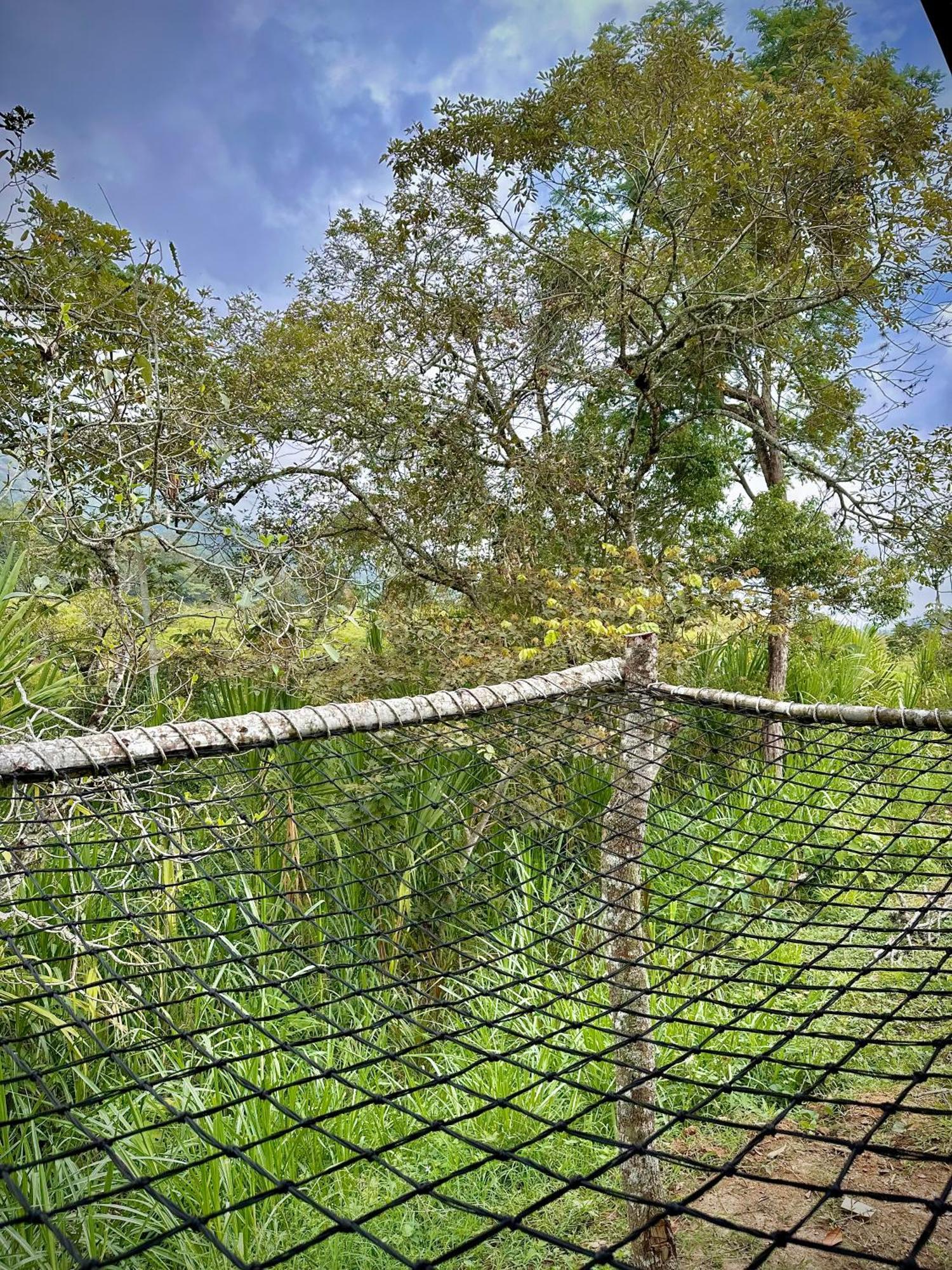 Finca Ecoparaiso Ibagué Екстериор снимка